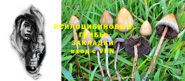 mdpv Карталы
