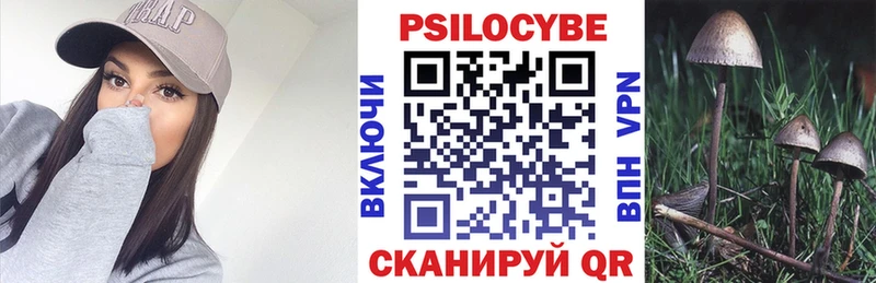 Купить  Солнечногорск  Псилоцибиновые грибы GOLDEN TEACHER 